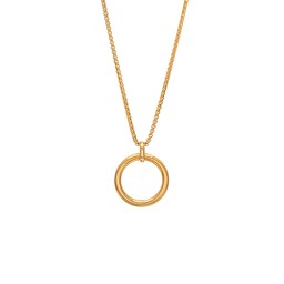 Halsband i stål Halsband i stål