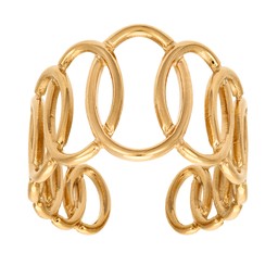 Ring i stål