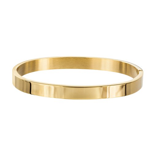 Armring stål