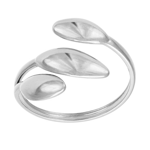 Ring i stål