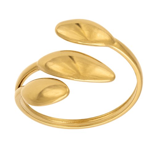 Ring i stål