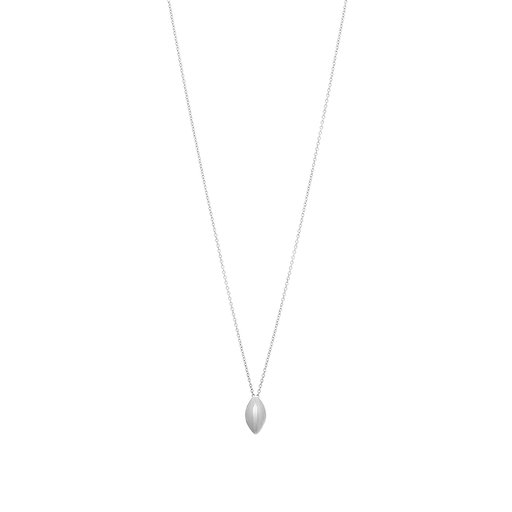 Halsband i stål