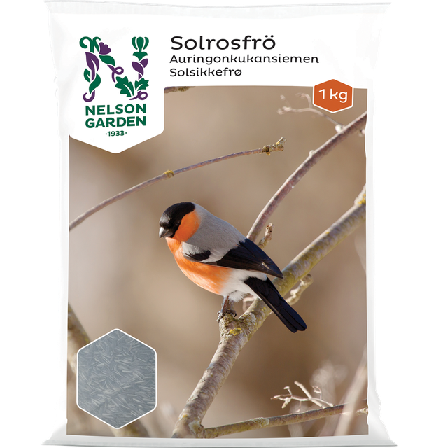 Solrosfrö