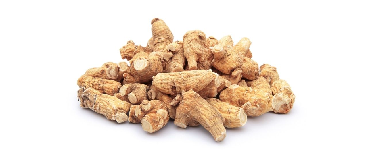 ginseng-root.jpg