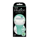 Intuition