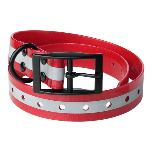 Lafayette Hundhalsband för GPS Lafayette Hundhalsband för GPS Röd