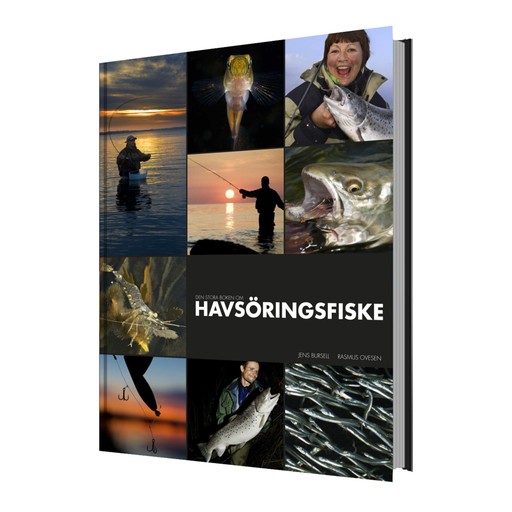 Den stora boken om havsöringsfiske Den stora boken om havsöringsfiske Ingen färg