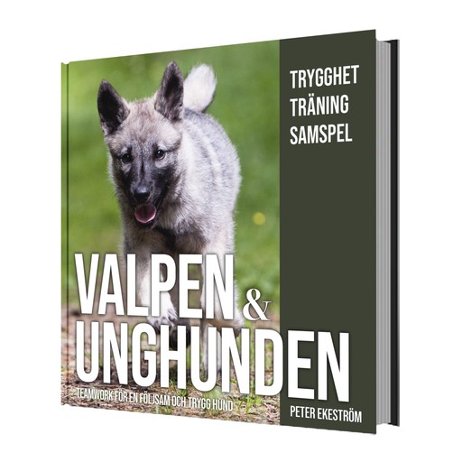Valpen & Unghunden Valpen & Unghunden Ingen färg