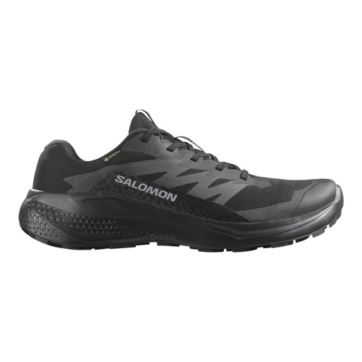 Salomon Alphaglide GTX Herr Svart Salomon Alphaglide GTX Herr Svart Svart
