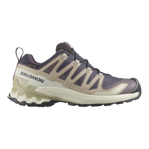 Salomon XA Pro 3D V9 GTX Dam Grå Salomon XA Pro 3D V9 GTX Dam Grå Grå