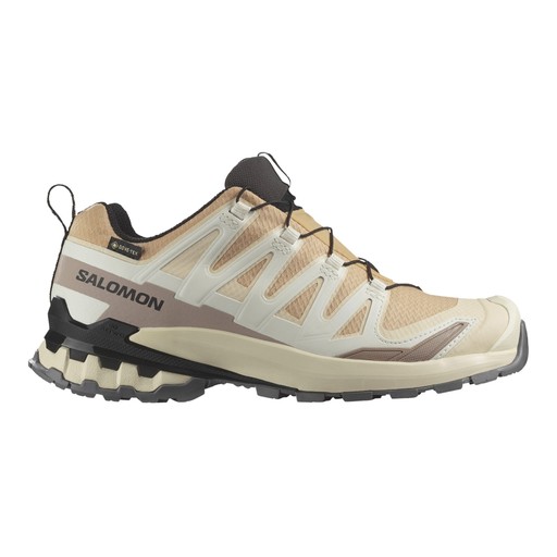 Salomon XA Pro 3D V9 GTX Dam Beige Salomon XA Pro 3D V9 GTX Dam Beige Beige