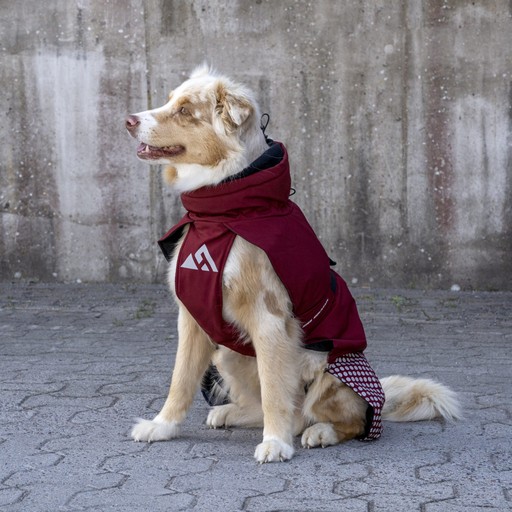 Hundemantel WP - Engelsons