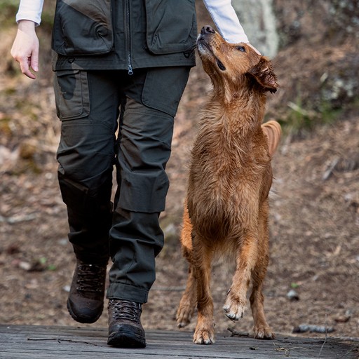 Hundträning och hundsport