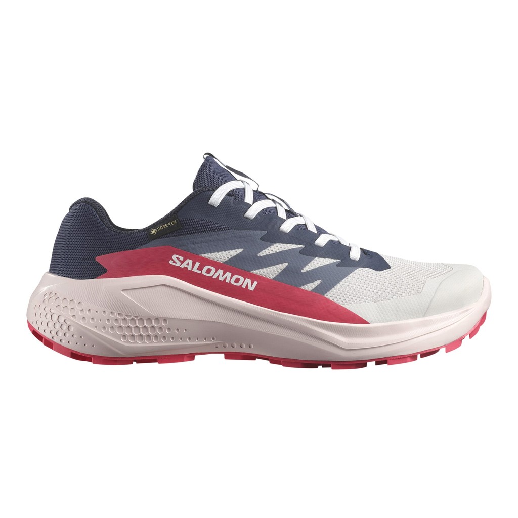 Salomon Alphaglide GTX Dam Blå Salomon Alphaglide GTX Dam Blå