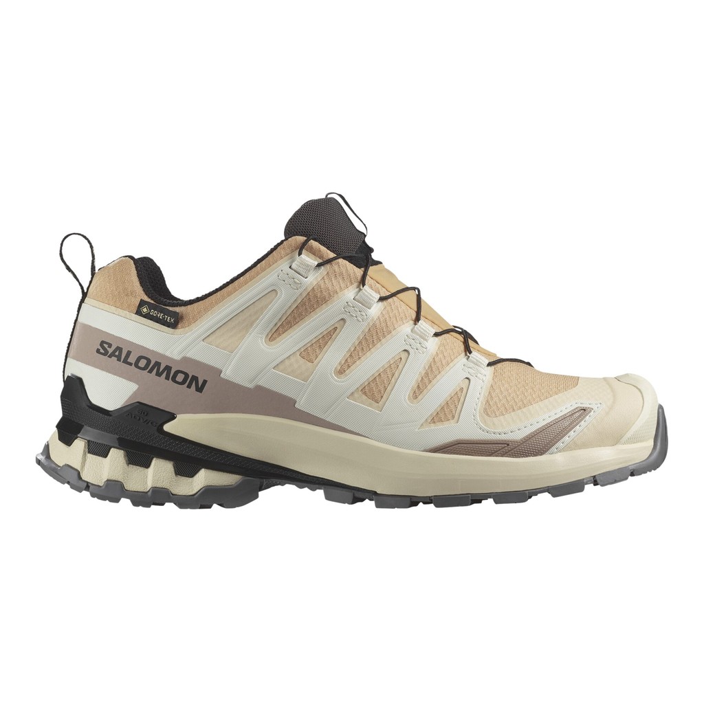 Salomon XA Pro 3D V9 GTX Dam Beige