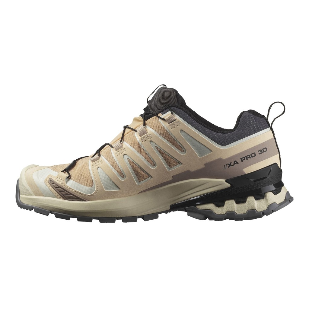 Salomon XA Pro 3D V9 GTX Dam Beige