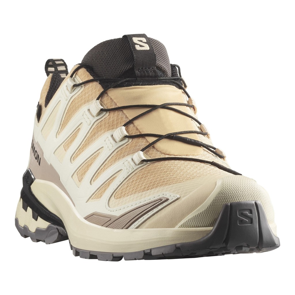 Salomon XA Pro 3D V9 GTX Dam Beige