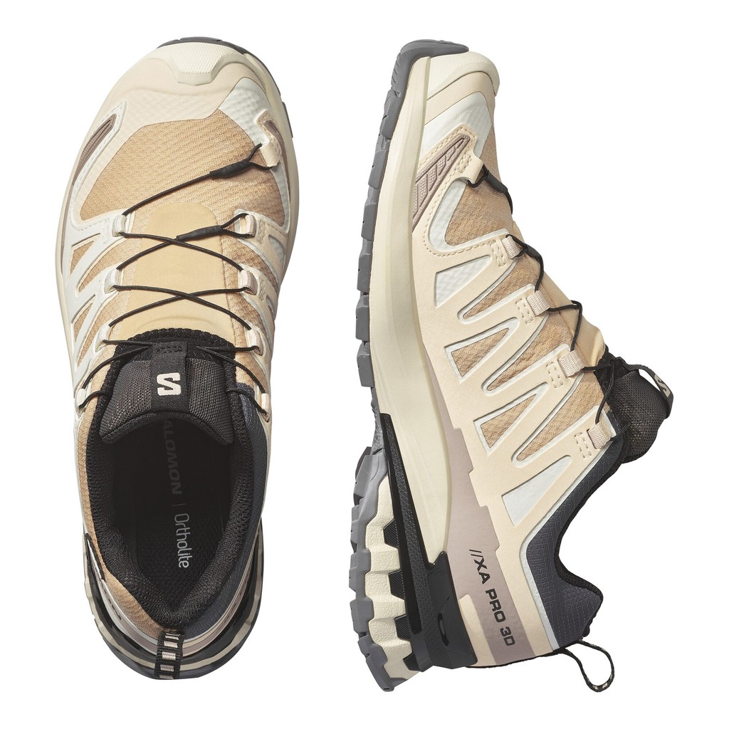 Salomon XA Pro 3D V9 GTX Dam Beige