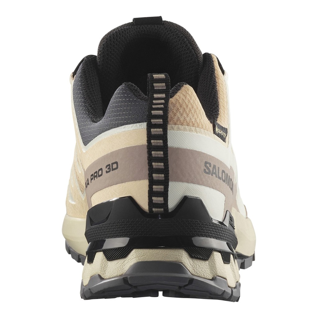 Salomon XA Pro 3D V9 GTX Dam Beige