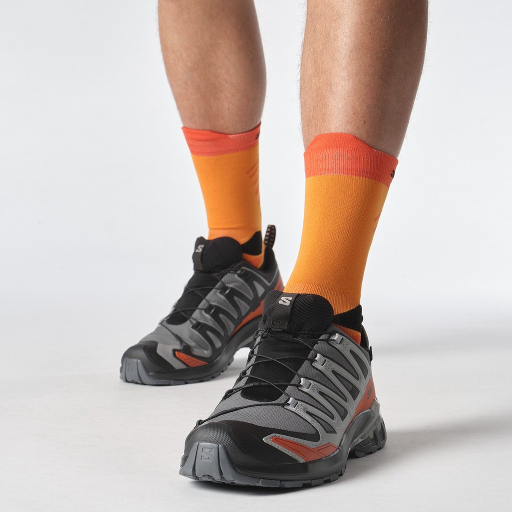 Salomon Xa Pro 3D V9 GTX Herr Grå Salomon Xa Pro 3D V9 GTX Herr Grå
