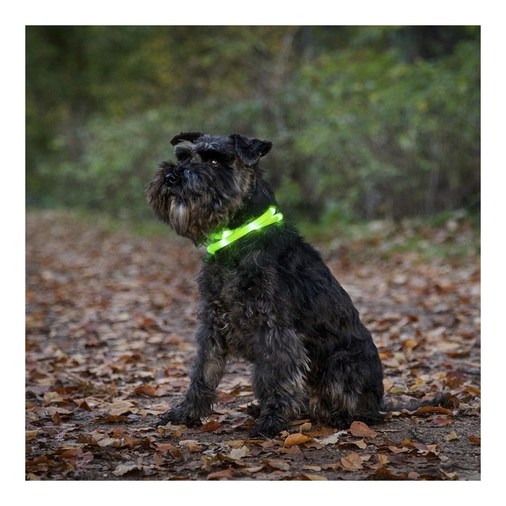 Dogman Blinkehalsbånd LED