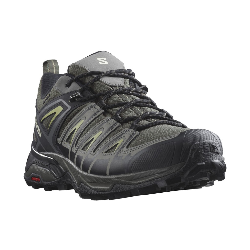 Salomon X Ultra Pioneer GTX Herr Grön