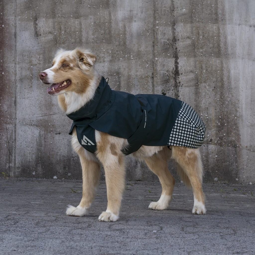 Hundemantel WP