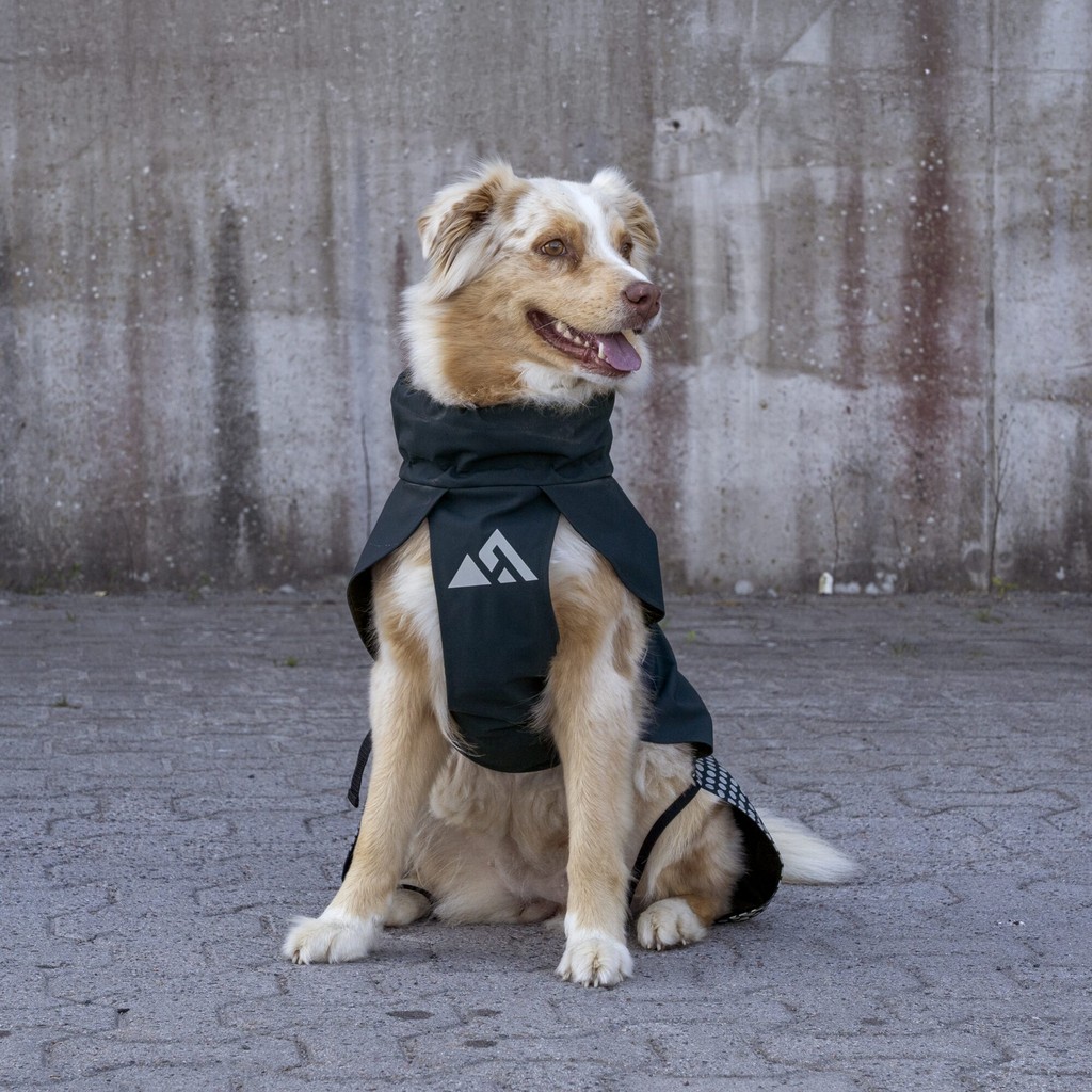 Hundemantel WP