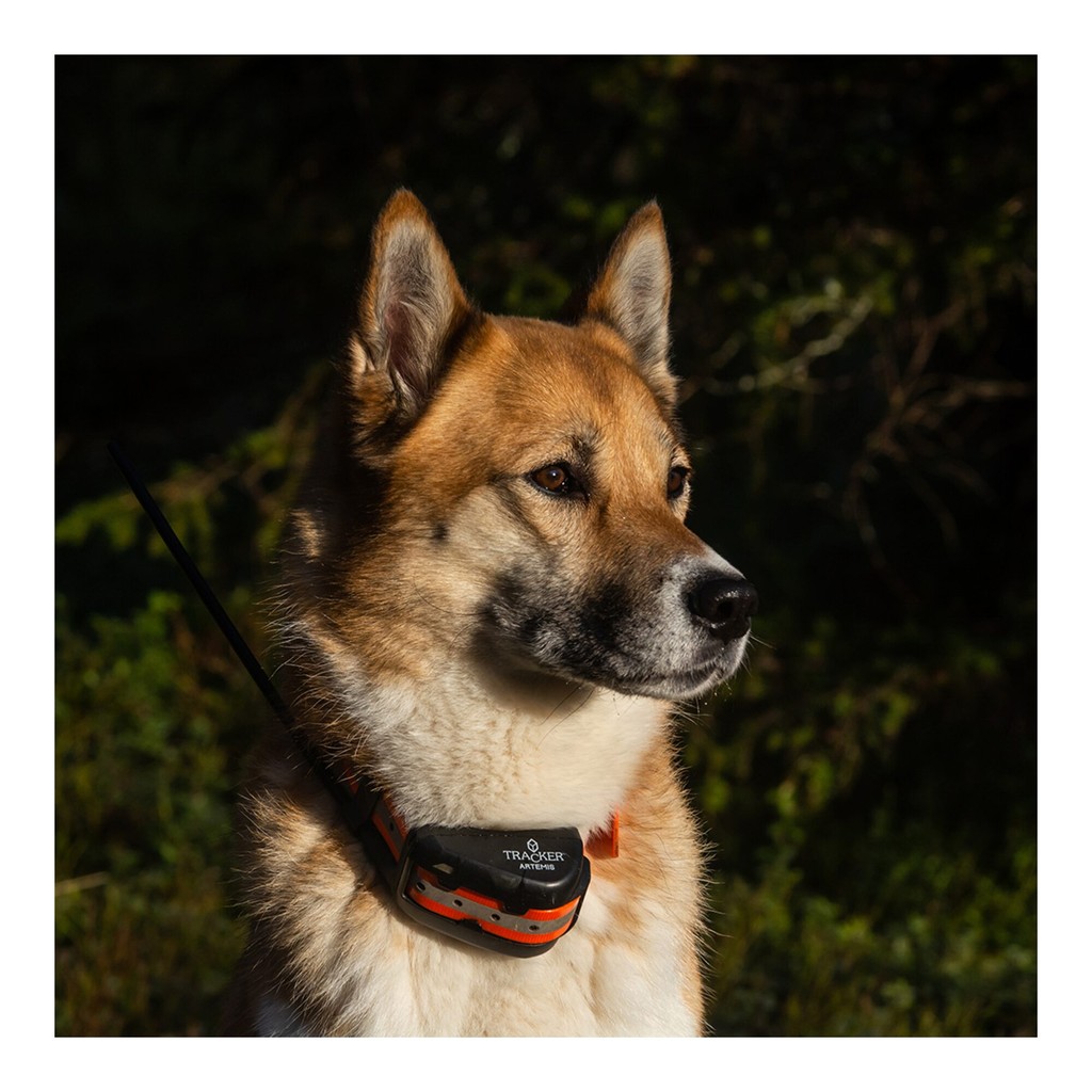 Tracker Artemis 4G IoT/2G Tracker Artemis 4G IoT/2G
