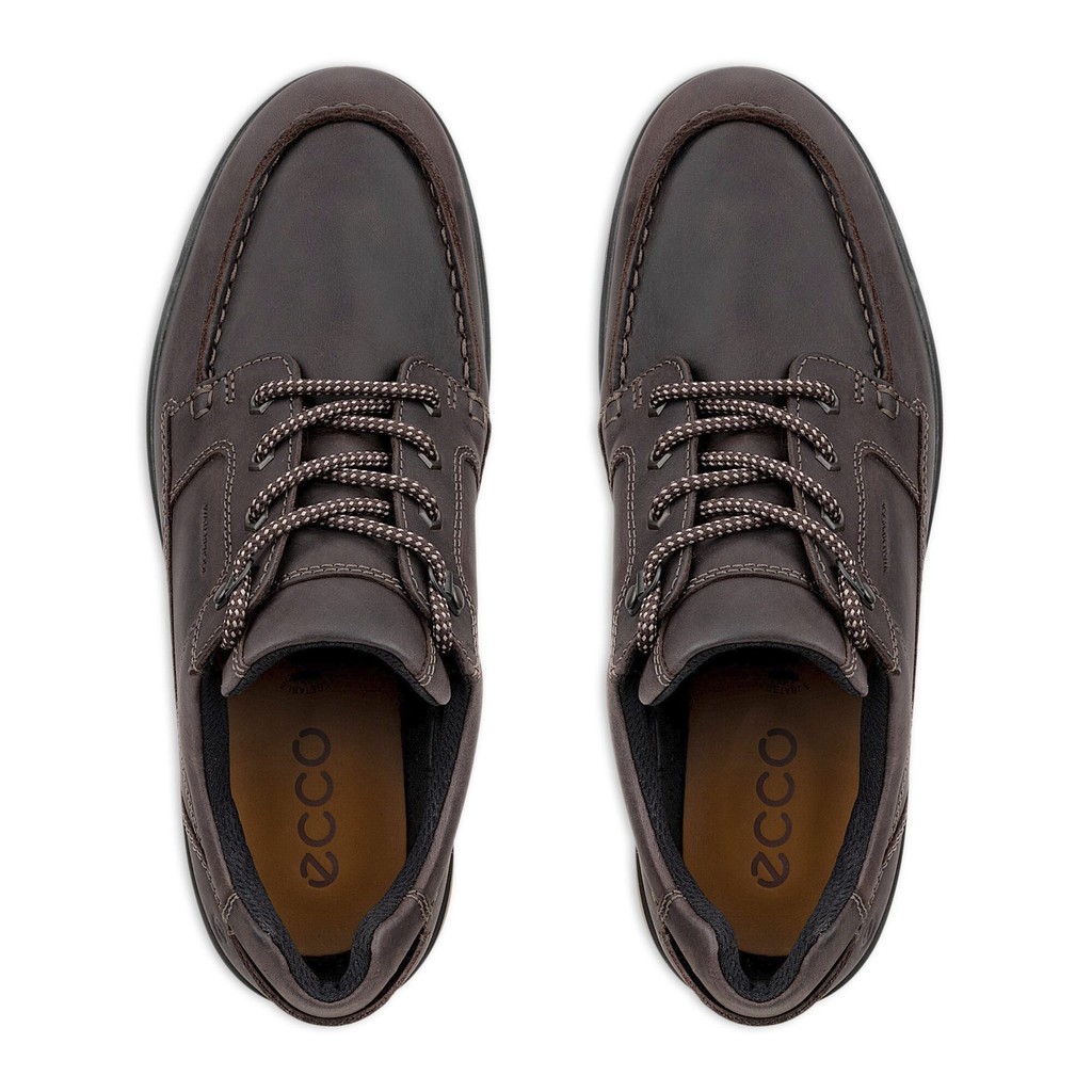 Ecco Rugged Track W.P Brun