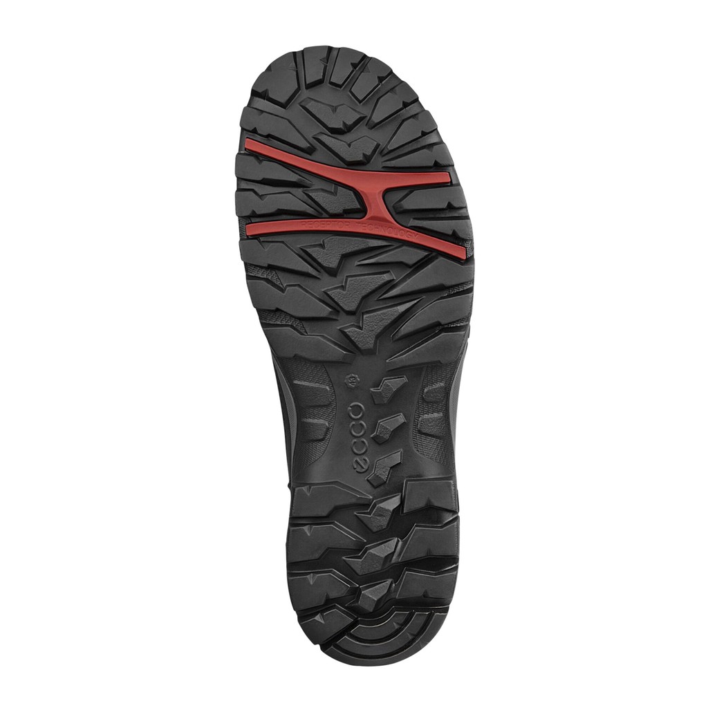 Ecco Xpedition III Mid W.P Herr