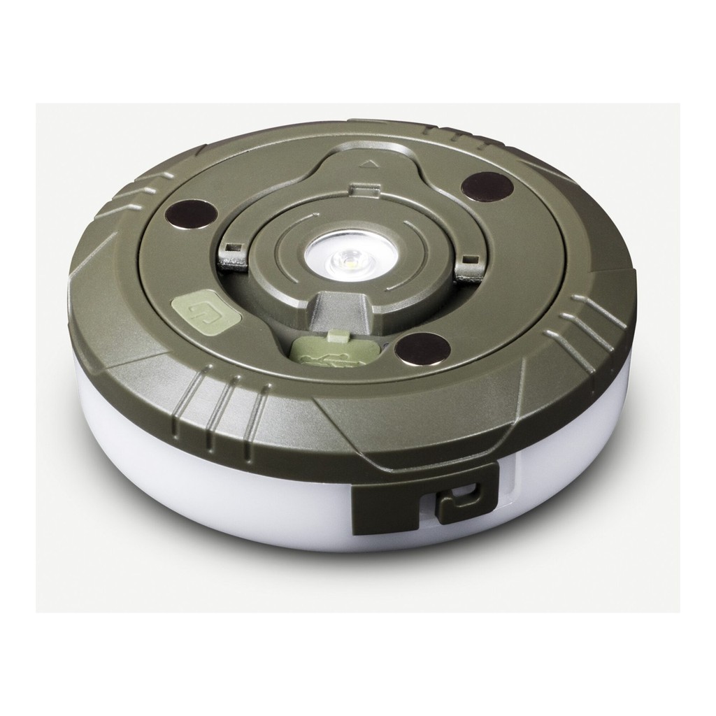 Aqiila Lightbird BL2 - Loop Light Aqiila Lightbird BL2 - Loop Light