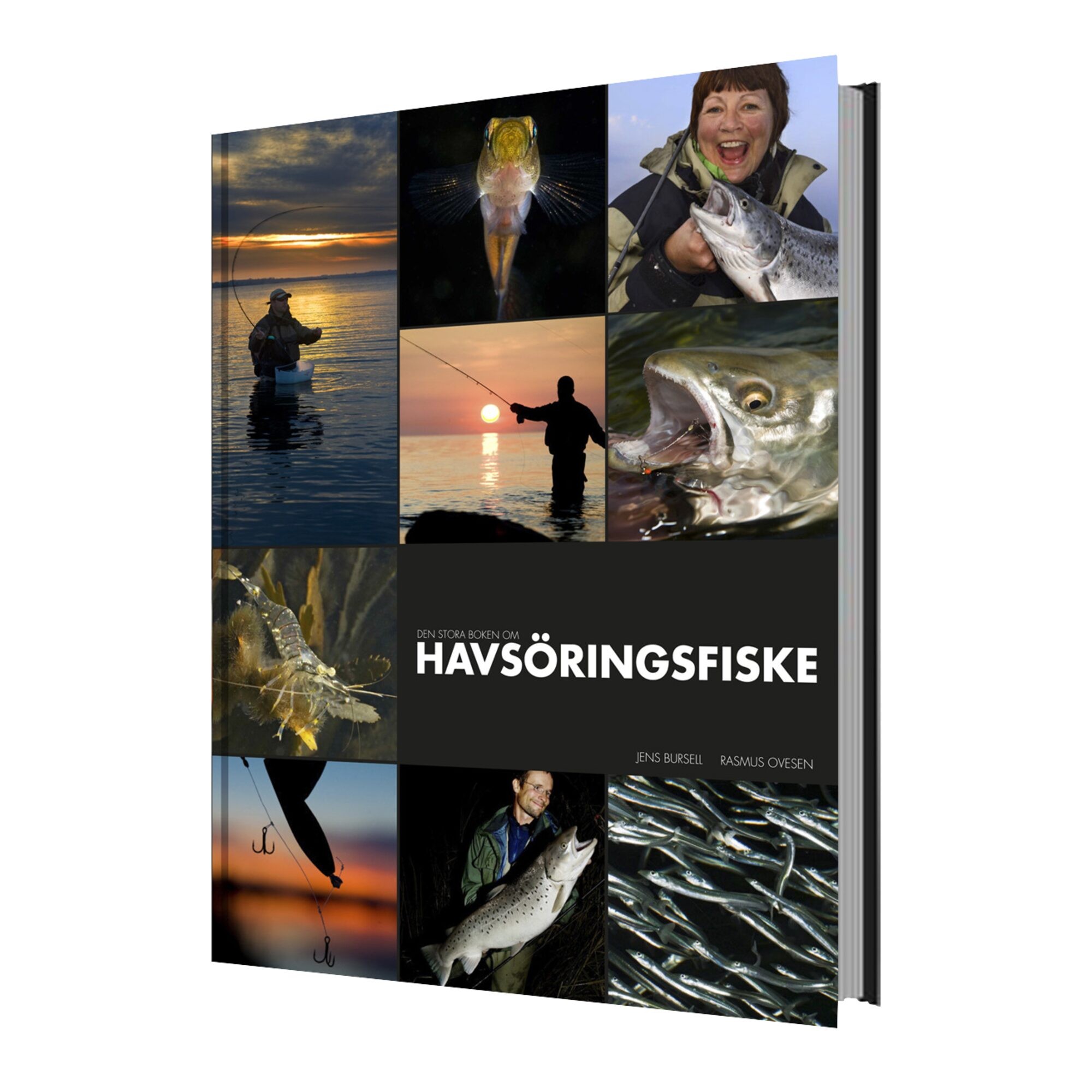 Den stora boken om havsöringsfiske, Ingen färg