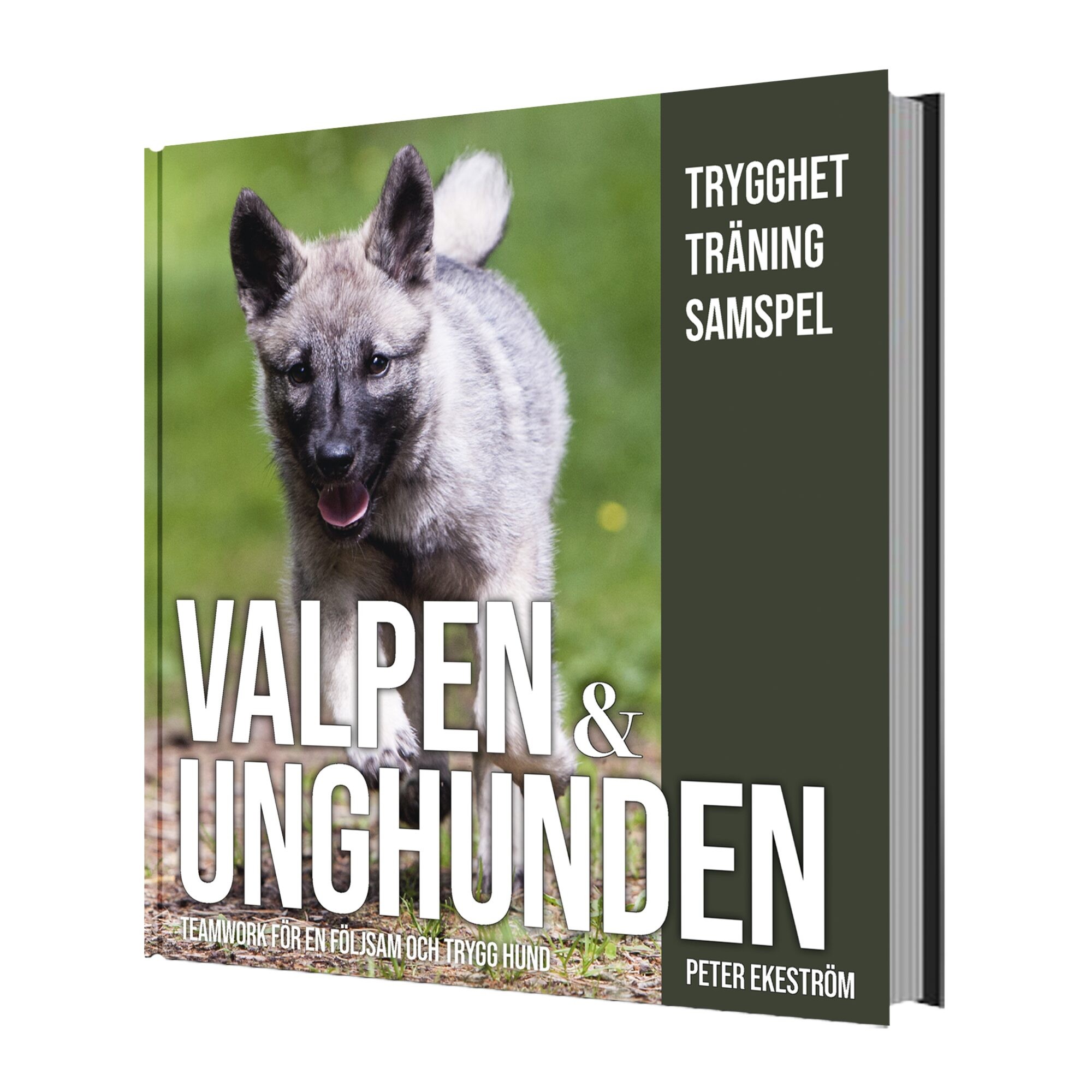 Valpen & Unghunden, Ingen färg