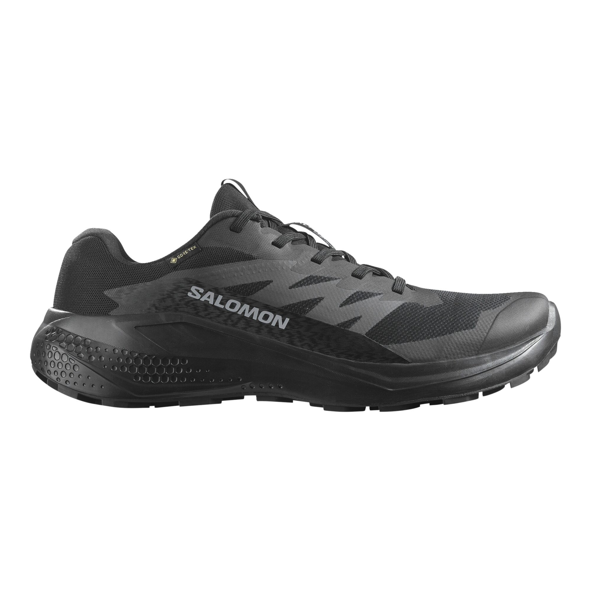 Salomon Alphaglide GTX Herr Svart, Svart, 10,5=45 1/3