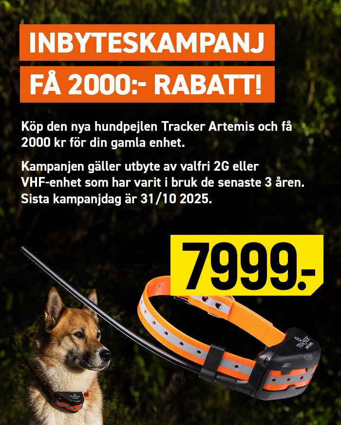 Vandring och friluftsliv