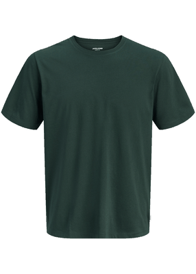 ORGANIC BASIC TEE