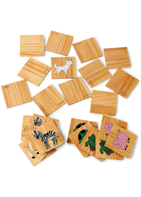 GIANT MEMORIZE SET FAMILY