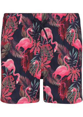Soda Boardshorts