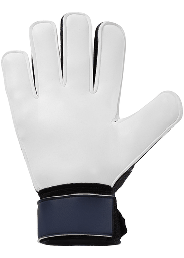 PREDICTION STARTER SOFT