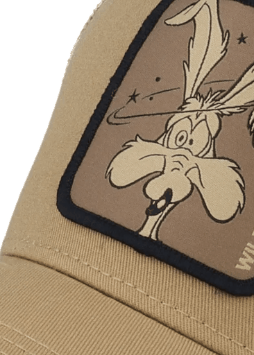 Looney Tunes Wile E Coyote