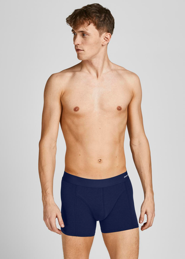 BASIC BAMBOO TRUNKS 3 PACK