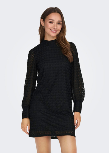 AVERY L/S HIGHNECK LACE DRESS