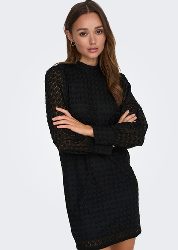 AVERY L/S HIGHNECK LACE DRESS