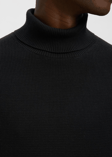 DANE LS KNIT STRUCTURE ROLL NECK