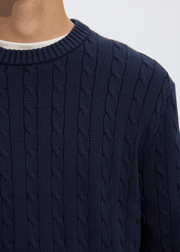 BRAUN KNIT CABLE CREW