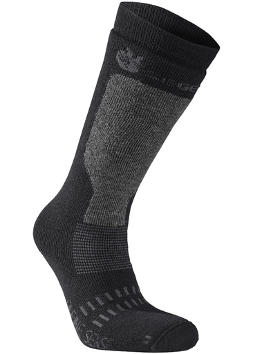 Alpine Plus Protection