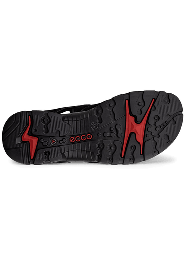 Ecco Offroad