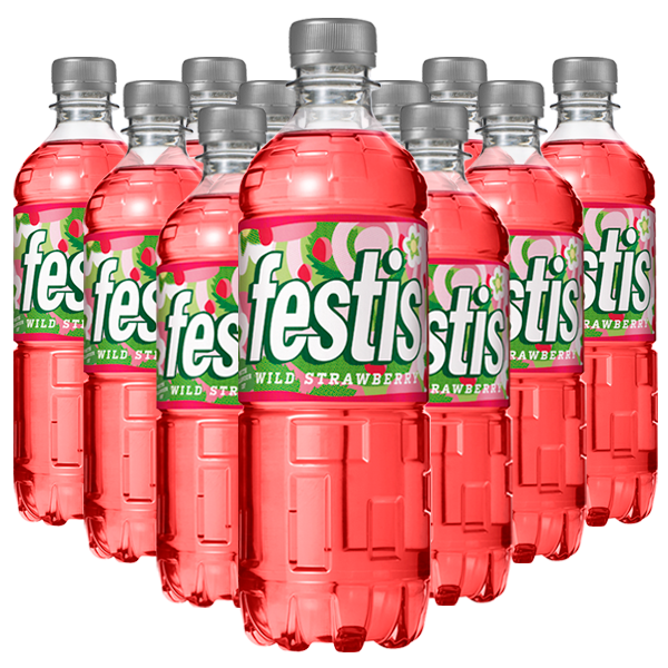 Festis Wild Strawberry 12st x 50cl