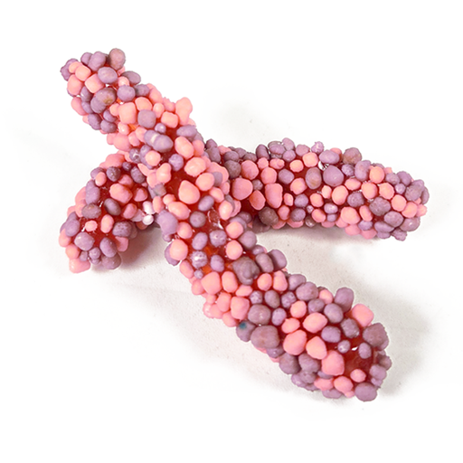 Jellioo Geeks Worms Purple&Pink